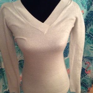 Glittery Sweater top
